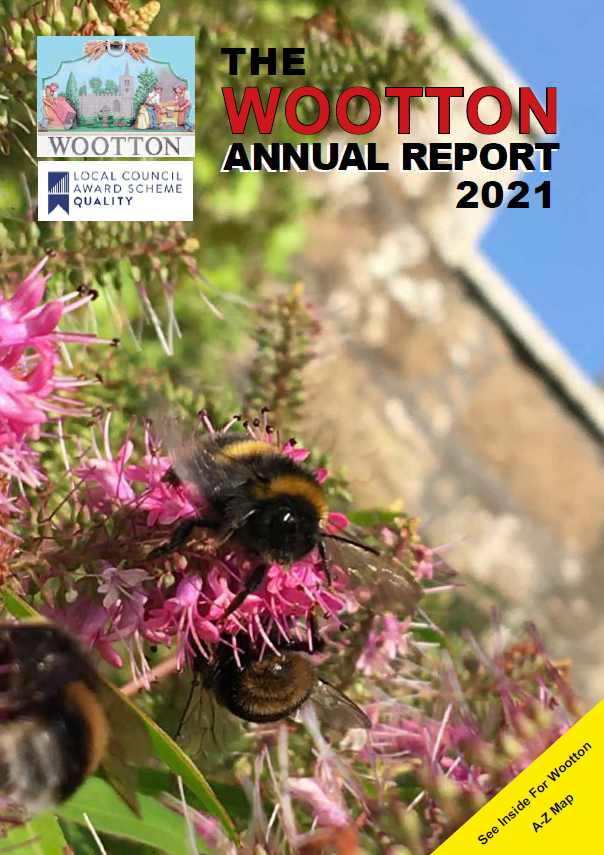 The Image displayed is the cover of the 2021 Annual Report, click on the image to open the 2021 Annual Report